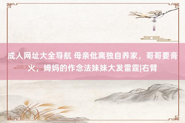 成人网址大全导航 母亲仳离独自养家，哥哥要膏火，姆妈的作念法妹妹大发雷霆|右臂