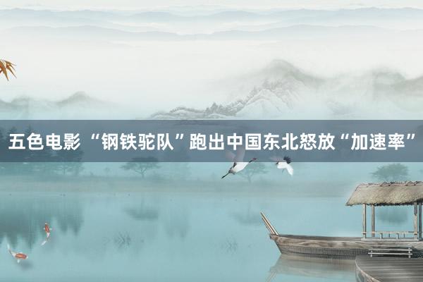 五色电影 “钢铁驼队”跑出中国东北怒放“加速率”