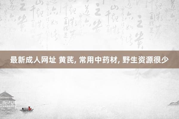 最新成人网址 黄芪， 常用中药材， 野生资源很少
