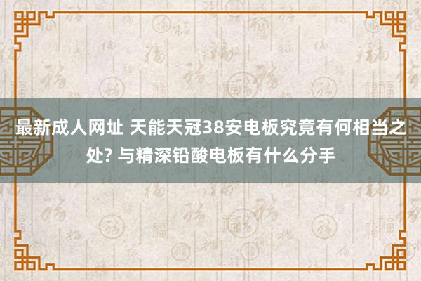 最新成人网址 天能天冠38安电板究竟有何相当之处? 与精深铅酸电板有什么分手