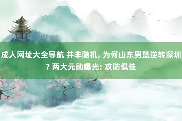 成人网址大全导航 并非随机， 为何山东男篮逆转深圳? 两大元勋曝光: 攻防俱佳