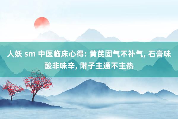 人妖 sm 中医临床心得: 黄芪固气不补气， 石膏味酸非味辛， 附子主通不主热