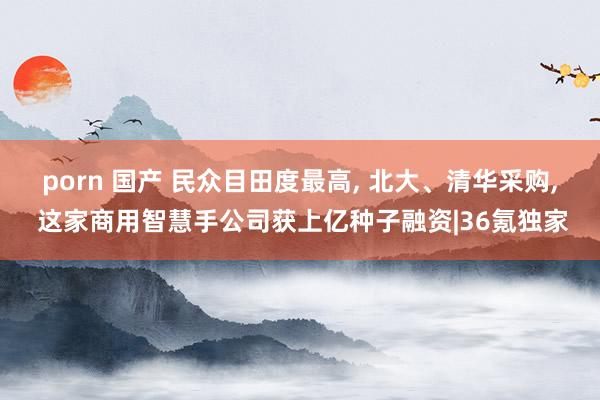 porn 国产 民众目田度最高， 北大、清华采购， 这家商用智慧手公司获上亿种子融资|36氪独家